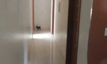 Imagem 7: Excelente Chácara na Bica do DER - Planaltina DF - Ótima Localização