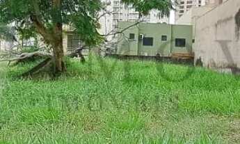 Imagem 4: Terreno Jardim Botânico