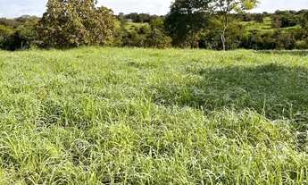 Imagem 6: Fazenda 43 alqueires