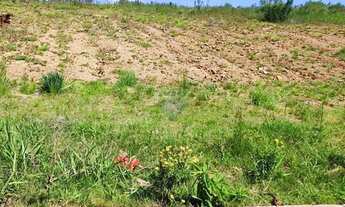 Imagem 2: Terreno dos Sonhos em Vivendas das Oliveiras