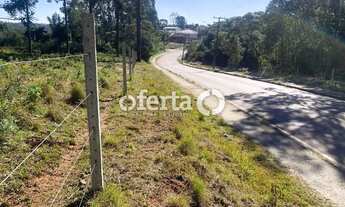 Imagem 7: Terreno no Costeira / Araucária - 23.222m2