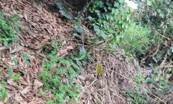 Imagem: Sítio situado em Jequiríça-Bahia