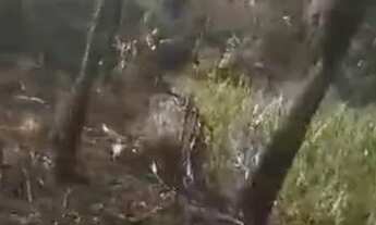 Imagem 5: Terra chapada Gaúcha