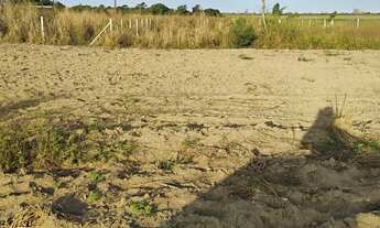 Imagem 5: Vendo 2 terrenos na zona rural de Campos dos Goytacazes a 100 metros do asfalto