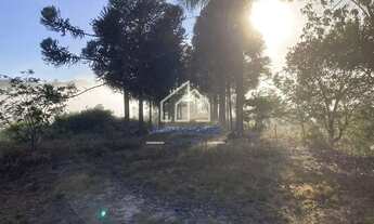 Imagem 2: Sítio à venda, Estrada do Pinhal Novo em Lorena, com uma área de 19,7 Hectares