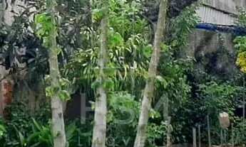 Imagem 4: Vende Terreno - 500m² - Nova Petropolis - São Bernardo do Campo/SP