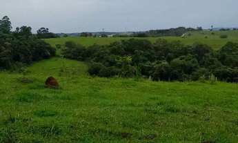 Imagem: Sítio em Município de Angatuba - Nunes