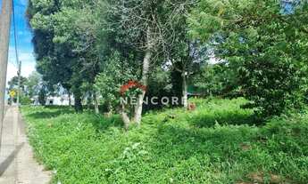 Imagem 6: Lote em Av Jucelino Kubitscheck de Oliveira - São Rafael - Canela/RS