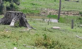Imagem 5: Sítio de 18 hectares (7,5 alqueires) na região da cidade de Comodoro MT