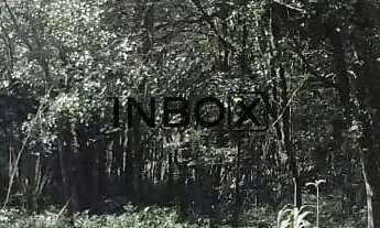 Imagem 5: TERRENO NO BAIRRO BORGO EM BENTO GONÇALVES