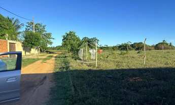 Imagem 2: Terreno no Mosqueiro Loteamento Santo Antônio