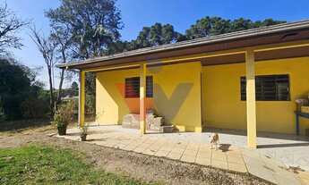 Imagem 4: Chácara 20.000 m em Mandirituba Casa, pomar, nascentes e açude