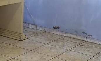 Imagem 6: Casa 2 quartos em São Sebastião/DF