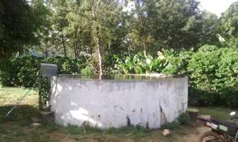 Imagem 5: Fazenda Campo Alegre com 129 ha, em Piatã-Bahia, Chapada Diamantina