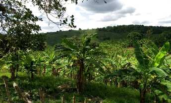 Imagem: Sitio borborema-PB