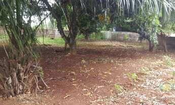 Imagem 6: Excelente Área para Construtoras