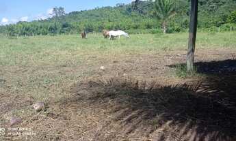 Imagem: Ótima oportunidade!!! Fazenda no itã