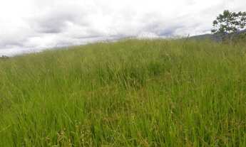 Imagem 3: Aceita permuta! Fazenda / sítio com venda por R$400.000