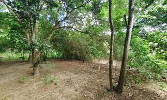 Imagem 6: Sitio com 16,7ha a 1,8km do asfalto oportunidade