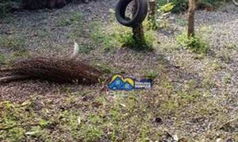 Imagem 3: Sobrado com 3 dormitórios à venda, 93 m² por R$ 350.000 - Sai Mirim - Itapoá/SC