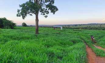 Imagem 5: Oportunidade de Negocio Fazenda com 49 alqueires
