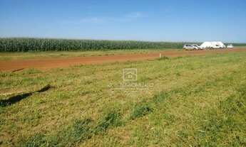 Imagem 7: Fazenda Região Pouso Alegre - MT