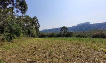 Imagem 6: Belo terreno em Campo Alegre SC - 105.000 m²