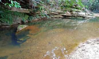 Imagem 7: Fazenda para Venda em Diamantina, Senador Mourão, 2 dormitórios, 2 banheiros