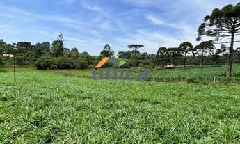 Imagem 2: CHÁCARA EM CAMPO ALEGRE/SC