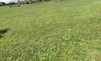 Imagem 7: Terreno à venda, 800 m² por R$ 550.000,00 - Ingleses do Rio Vermelho - Florianópolis/SC