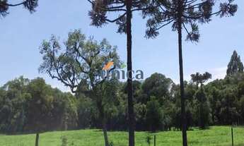 Imagem 4: Chácara - CAMPO ALEGRE/SC