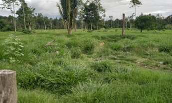 Imagem 6: SÍTIO DE 42 ALQUEIRES THEOBROMA