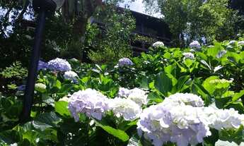 Imagem 3: Propriedade próxima a saída para o Rio de Janeiro - Petrópolis - RJ