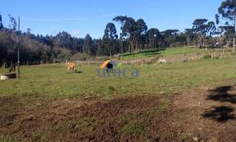 Imagem 7: CHÁCARA EM CAMPO ALEGRE/SC