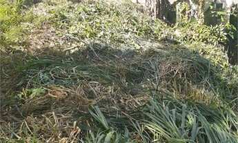 Imagem 5: Terreno em Condomínio - Panamby