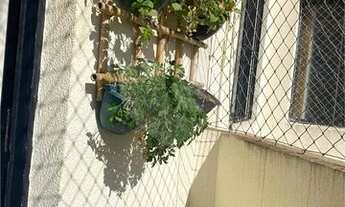 Imagem 4: Apartamento Limão