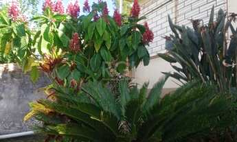 Imagem 2: Terreno para Venda - 0m², 0 dormitórios, Nonoai