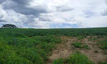 Imagem 3: Chácara de 11.13 Alqueires