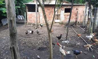 Imagem 5: VENDER OU TROCA CHÁCARA NO ARAPONGAS