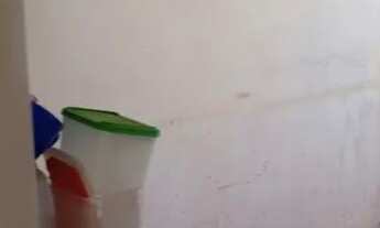 Imagem 2: Casa em fazenda nova go