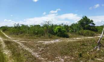 Imagem: Oportunidade terreno no povoado Angelim