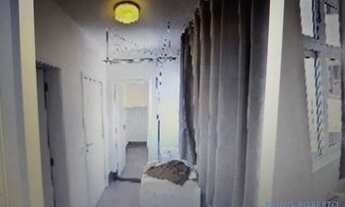 Imagem 2: APARTAMENTO - PERDIZES - SP