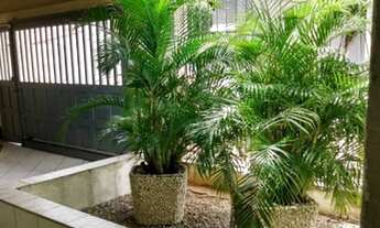 Imagem 2: Casa para vender com 3 quartos 1 suíte no bairro Candelária em Natal