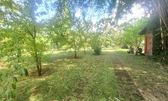 Imagem 6: Sítio Das Cerejeiras!!