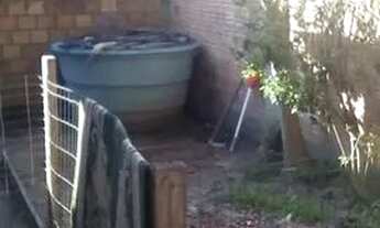 Imagem 3: Vendo ou troco casa com pátio grande