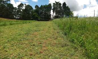 Imagem: Terreno em Cotia Grande lançamento