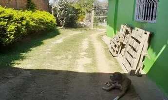 Imagem 3: Vendo uma chácara