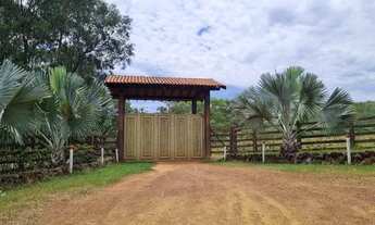 Imagem: A mais barata da ponte alta