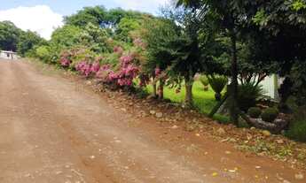 Imagem: Vendo Chácara em laj. Pilão - Alecrim