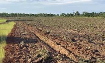 Imagem 6: Fazenda em novo acordo Tocantins